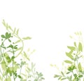 Green silhouette of grass and wild flowers border isolated on white Royalty Free Stock Photo