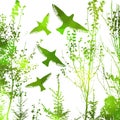 Green silhouette of trees with flying birds. Vector illustration Royalty Free Stock Photo