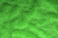 a green silver mesh fabric, with a woven metallic thread. Enjoy