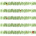 Green simple green grass stripes postcard freshness tea vegetation with ladybugs red and yellow isolated on white background seaml