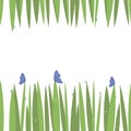 Green simple green grass on top and bottom card with blue transparent water drops with blue butterflies freshness insects isolated