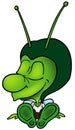 Green Sitting Bug Royalty Free Stock Photo
