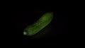 Green-skinned cucumber rotates on a black background.