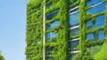 Green skyscraper building with plants growing on the facade. Ecology and green living in city, urban environment concept. Royalty Free Stock Photo