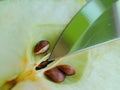 Green sliced apple seeds and knife Royalty Free Stock Photo