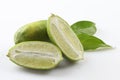 Green sliced lime on white background with herbs Royalty Free Stock Photo
