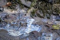 Close up of oil slick on gray wet sand