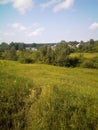 Green slope near the forest