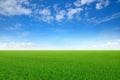 Green sloping meadows with blue sky Royalty Free Stock Photo