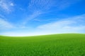 Green sloping meadows with blue sky Royalty Free Stock Photo