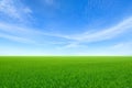 Green sloping meadows with blue sky Royalty Free Stock Photo