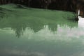 Green slurry in a polluted pond. Toxic waste thrown into the water