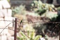 Green small bird on the barbed wire Royalty Free Stock Photo