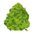 Green small bush, gardening, landscaping and ecology symbol