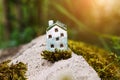 Green small house model on sunny background, sweet home