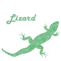 Green small lizard isolated on white background Royalty Free Stock Photo