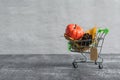 Green small toy shopping cart with birch leaves, cone and pumpkin on a concrete wall background. Price label note with rope for Royalty Free Stock Photo