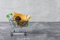 Green small toy shopping cart with leaves, cone on a concrete wall background. Autumn Concept. Royalty Free Stock Photo