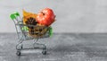 Green small toy shopping cart with leaves, cone and pumpkin on a concrete wall background. Autumn Concept. Royalty Free Stock Photo