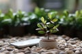 Green small tree or plant next to the smartphone. Ecological concept recycling