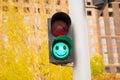 Green smiley face light in traffic lights close-up, crosswalk. Positive emotions, good day, good luck