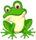 Green smiling vector Frog. White isolated background.