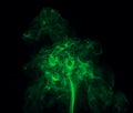 Green smoke. Royalty Free Stock Photo