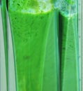 Green smoothie. Blending ingredients for green smoothie closeup. Royalty Free Stock Photo