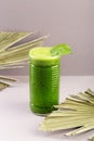 Green smoothy with spinach, banana, apple, kiwi and mint in glass jar. Detox, diet, healthy Royalty Free Stock Photo