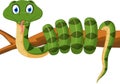 Green snake cartoon on branch Royalty Free Stock Photo