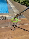 green snake caught on the edge of a swimming pool on a bright sunny day Royalty Free Stock Photo