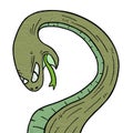 Green snake Royalty Free Stock Photo