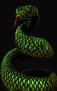 Green snake on dark black background with clipping path. Royalty Free Stock Photo