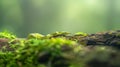 Green snake in mossy forest Royalty Free Stock Photo