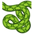 Green snake seamless