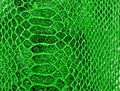 Green snake skin background Royalty Free Stock Photo