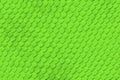 Green Snake skin pattern