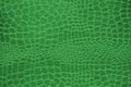 Green snake skin texture background. Royalty Free Stock Photo