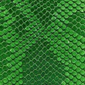 Green snake skin texture. Reptile and serpent scales surface. Graphic resource and background. Royalty Free Stock Photo
