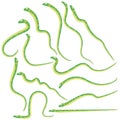 Green Snakes Set