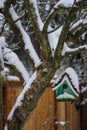 Green snow covered bird house