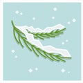 Green snow-covered fir branches. Christmas card on a blue background. Minimalistic decorative vector illustration. Flat