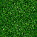 Green soccer grass texture