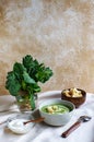 Green soup puree in a grey bowl with crouton, raw spinach leaves and sour cream on tablecloth Royalty Free Stock Photo