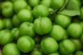 Green sour cherry plums in the market stock
