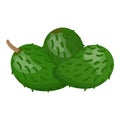 Green soursop icon cartoon vector. Graviola annona