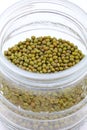 Green soya beans Royalty Free Stock Photo