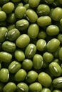 Green soya beans texture