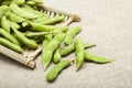 Green soybean Royalty Free Stock Photo