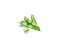 Green Soybean
